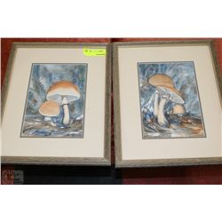 PAIR OF WOOD FRAMED MUSHROOM PICTURES