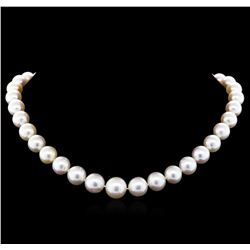 South Sea Cultured Pearl Necklace - 14KT Yellow Gold