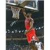 Image 1 : Bobby Portis Signed Bulls Action Dunk 16X20 Photo