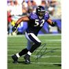Image 1 : Ray Lewis Signed Baltimore Ravens 16X20 Photo (Purple Jersey Run)