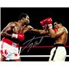 Image 1 : Larry Holmes Signed Boxing Puching Muhammad Ali Action 8X10 Photo