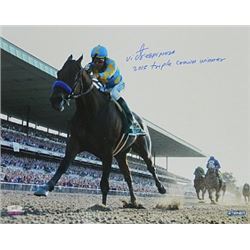American Pharoah Signed 16X20 Photo 2015 Belmont Stakes Horse Racing Triple Crown Winner With Victor