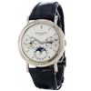 Image 1 : Patek Philippe Perpetual Calendar   Men Watch