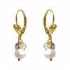 Image 1 : Gold Filled Assorted Color Crystal Ball Earrings