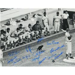 1969 Chicago Cubs Team Signed Shea Stadium Infamous Black Cat B&W 16X20 Photo W/14 Signatures