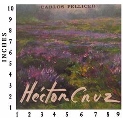 Dealer Liquidating Art Books Hector Cruz 1975  Good