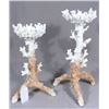 Image 1 : PAIR OF FAUX CORAL MOTIF CANDLE HOLDERS