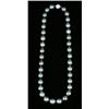 Image 1 : LADIES 14K WHITE GOLD, TAHITIAN PEARL NECKLACE