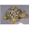 Image 1 : METAL AND ENAMEL TURTLE BOX