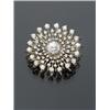 Image 1 : Tested 14-Karat Yellow and White Gold Diamond Floral Spray Brooch, Set with one old mine cut di...