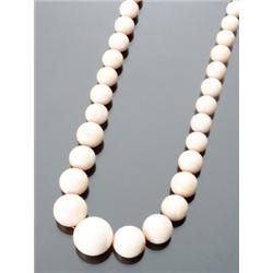 Opera Length Angel Skin Coral Necklace, The single strand having fifty-three graduated coral be...