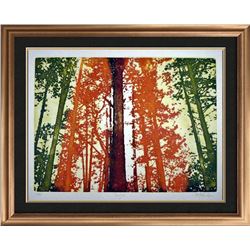 Etching Big Sur Colored Signed Ltd Ed Value=Great