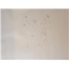 Image 9 : Leonor Fini Rare 1980 Images of Nude Etching Hand Signed Limited Edition Rare