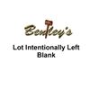 Image 1 : =====>INTENTIONALLY LEFT BLANK<=====