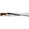 Image 2 : STEVENS 77C SHOTGUN
