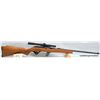Image 2 : COOEY 64 RIFLE