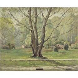 Olaf Moller (American 1903-1987), Silver Leaf Maple, Albion, Idaho, Signed Olaf Moller l.r....