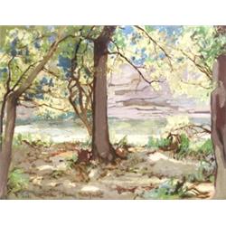 John Zwara (American b. 1880), View of Turkey State Park, Signed Zwara and titled l.l., Oil...