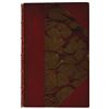 Image 2 : Alexandre Dumas, fils