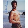 Image 1 : Steve Reeves