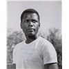 Image 1 : Sidney Poitier