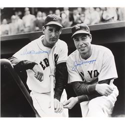 Ted Williams and Joe DiMaggio