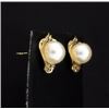 Image 2 : 14K Pearl Earrings