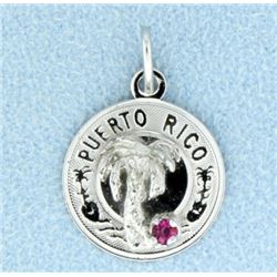 Puerto Rico Charm