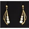 Image 1 : 9K Gold & CZ Dangle Earrings