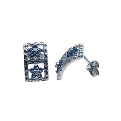Sterling Silver Rhodium Plated Blue Star & Clear CZ Stud Earring ste00934