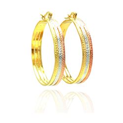 Sterling Silver Gold & Silver & Bronze Rhodium Plated CZ Hoop Earring ste00463