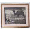 Image 3 : Vintage Photograph of Camel & Tribesman Resting Under the Shade of a Tree 25x21"