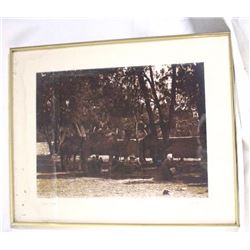 Vintage Photograph of Camels & Tribesman Resting Under the Shade 25x21"