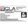 Image 2 : Certified GLA Natural Icy Jade Jadeite AAAA 42x24mm