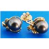 Image 1 : Certified 14K Gold Tahitian Pearl & Diamond Earrings 12gr