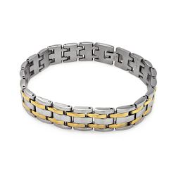 Stainless Steel Double Gold Plated Link Bracelet ssb00221