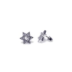 Sterling Silver Rhodium Plated Star of David Clear CZ Stud Earring stem008