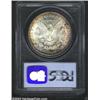 Image 2 : 1889-S $1 MS64 PCGS.