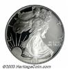 Image 1 : 1995-W $1 Silver Eagle PR69 Deep Cameo PCGS.