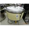 Image 1 : Rinnai Gas Rice Cooker