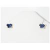 Image 1 : #6-10K YELLOW GOLD SAPPHIRE EARRINGS