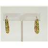Image 1 : #20-STERLING SILVER PERIDOT EARRINGS WITH