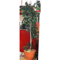 TALL ENTRANCE WAY ARTIFICIAL PLANT ON CHOICE