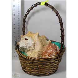 SET OF 2 LARGE CONCH SHELLS