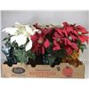 Image 1 : FLAT OF ARTIFICIAL POINSETTIAS