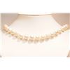 Image 2 : #3-STERLING SILVER FRESHWATER PEARL NECKLACE