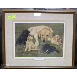 FRAMED SIGNED LTD ED PRINT BY CATHY CARTER