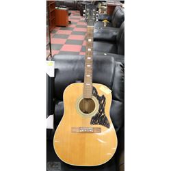 ACCOUSTIC GUITAR
