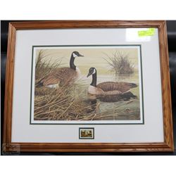 MARTEN VISSER PICTURE/STAMP 3151/4950 SIGNED