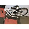 Image 1 : CO-PILOT TAG ALONG BIKE FULL SIZE WHITE